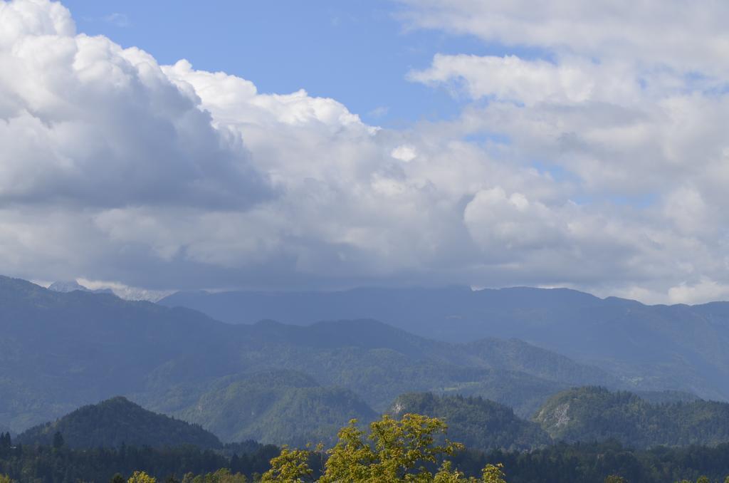 Grajski Dvor Radovljica Exterior foto